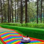 Menyatu Dengan Alam: Liburan Unik Di Hutan Pinus Tropis