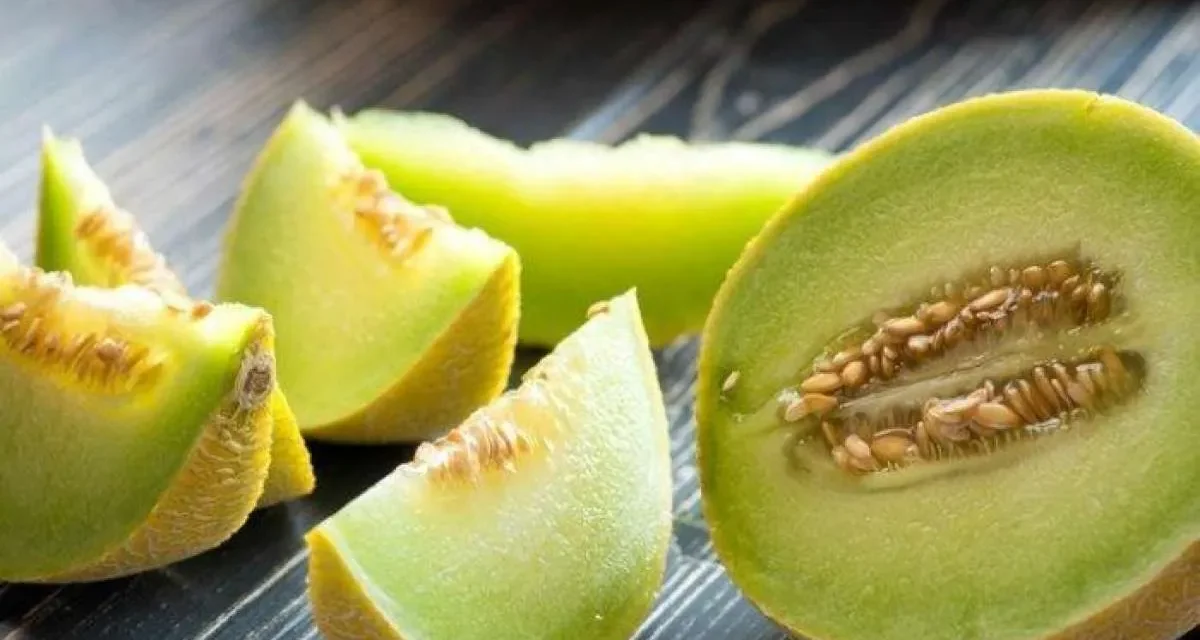 Melon: Kulit Sehat Dan Gula Darah Stabil Dalam Satu Buah