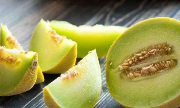 Melon: Kulit Sehat Dan Gula Darah Stabil Dalam Satu Buah