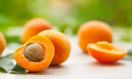 Kaya Nutrisi! Buah Aprikot Jadi Andalan Jaga Imunitas Harian
