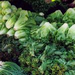 Program Hamil Lancar! Makanan Ini Bantu Tingkatkan Ovulasi