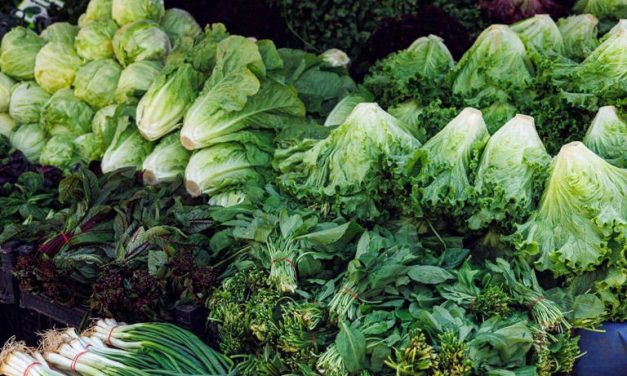 Program Hamil Lancar! Makanan Ini Bantu Tingkatkan Ovulasi