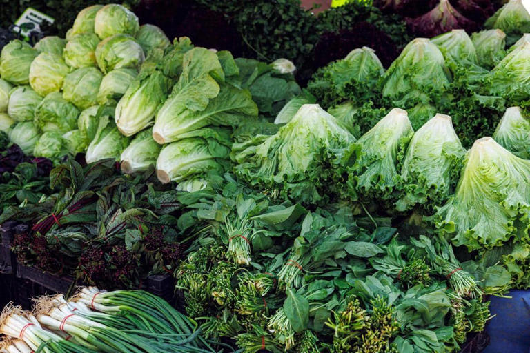 Program Hamil Lancar! Makanan Ini Bantu Tingkatkan Ovulasi