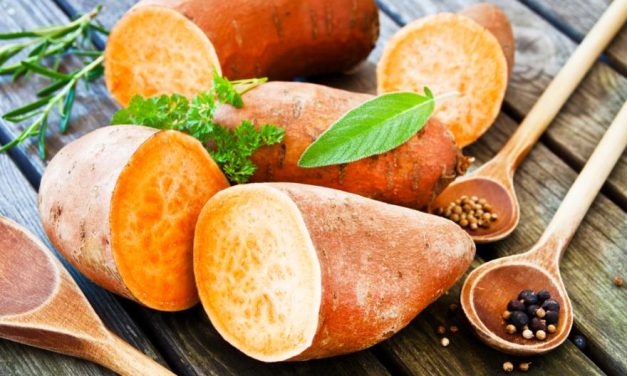 Ubi Jalar, Superfood Murah Dan Segudang Manfaat Untuk Tubuh