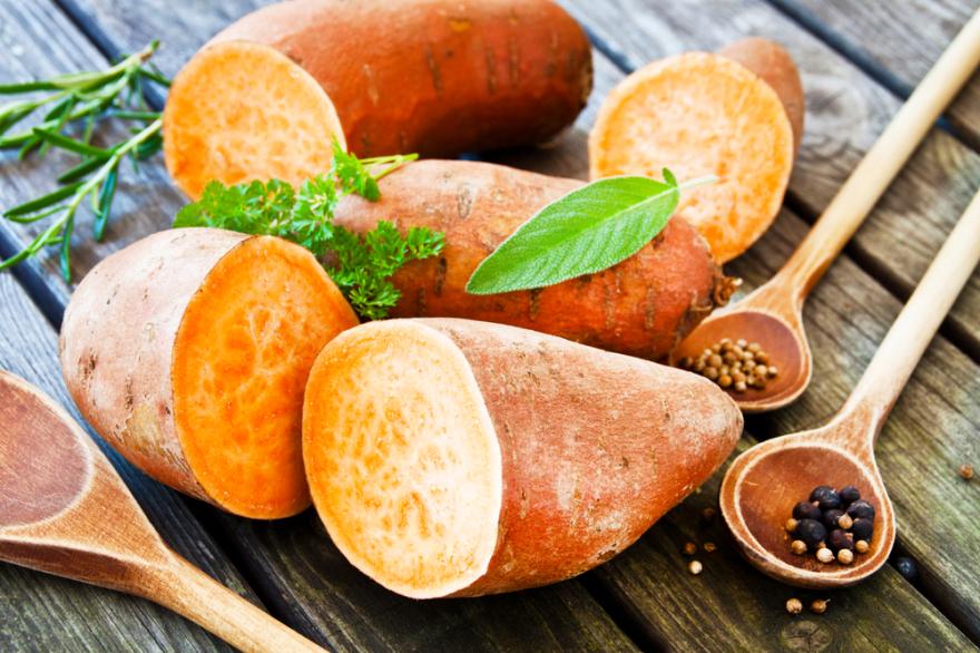 Ubi Jalar, Superfood Murah Dan Segudang Manfaat Untuk Tubuh