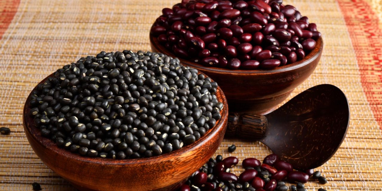 Makin Sehat! Kacang Merah Dan Kacang Hitam Punya Serat Larut